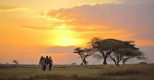 6 Day 5 Nights Luxury Wildlife Safari Adventure to Serengeti