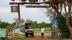 1 Day Excellent Opportunity Touring Mikumi National Park