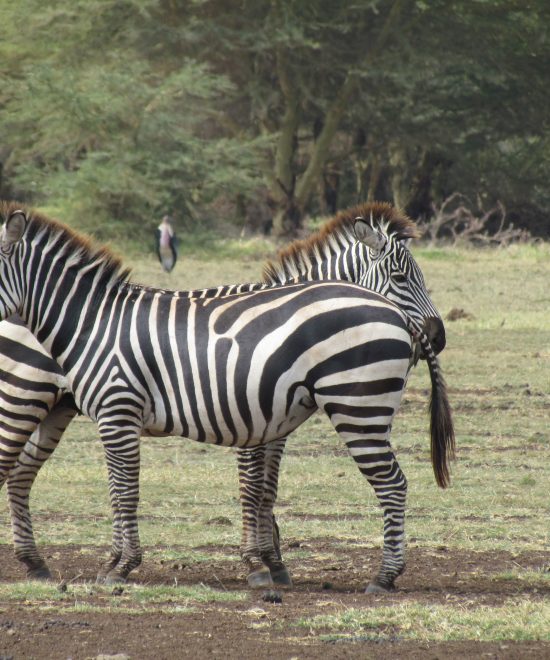 Lake Manyara