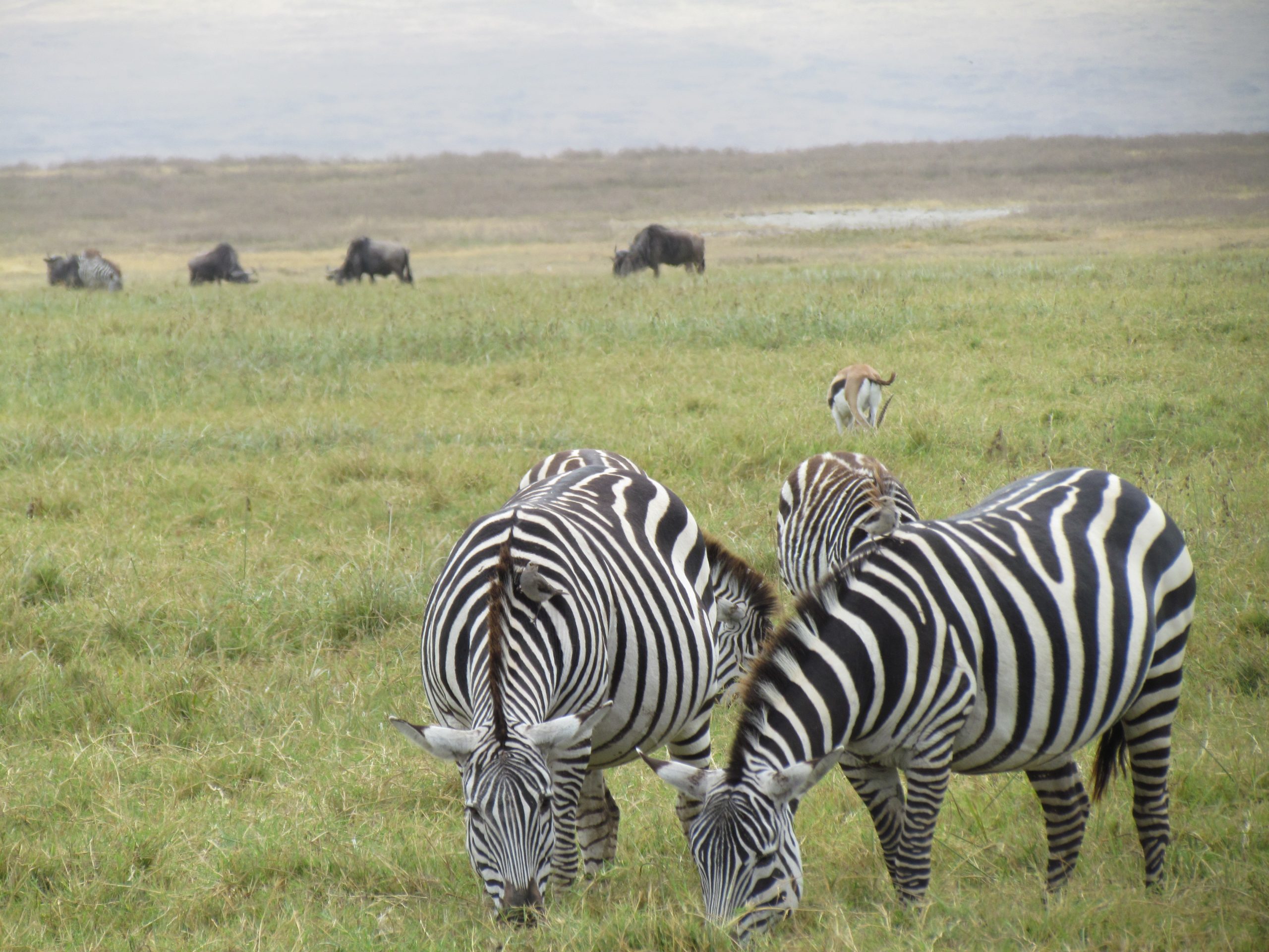  Serengeti National Park